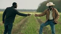 Queen Sugar